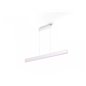Ensis Hue pendant white 2x39W 24V