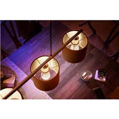 Philips HueW 5.7W Luster E14 EU 2p