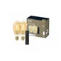 Pachet 2 becuri LED vintage inteligente