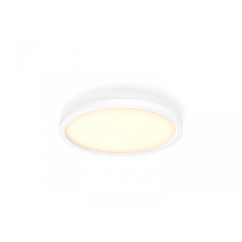 Aurelle Hue Panel RD 24.5W ceiling lamp