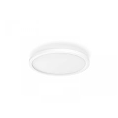 Aurelle Hue Panel RD 24.5W ceiling lamp