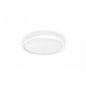 Aurelle Hue Panel RD 24.5W ceiling lamp