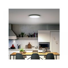 Aurelle Hue Panel RD 24.5W ceiling lamp