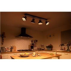 BUKKO plate/spiral black 4x4.3W 24V