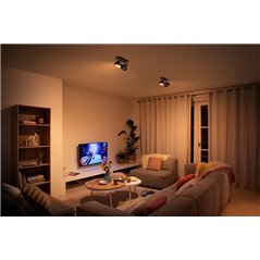 BUKKO plate/spiral black 2x4.3W 24V
