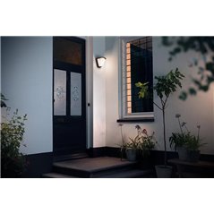 Kiskadee wall lantern anthracite 1x42W