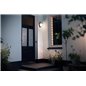 Kiskadee wall lantern anthracite 1x42W