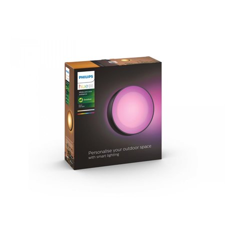 Daylo Hue WACA wall lantern black 1x15W