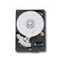 WD Blue HDD Desktop (3.5", 1TB, 64MB, SATA III-600) WD Blue HDD Desktop (3.5", 1TB, 64MB, SATA III-600)