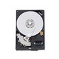 WD Blue HDD Desktop (3.5", 1TB, 64MB, SATA III-600) WD Blue HDD Desktop (3.5", 1TB, 64MB, SATA III-600)