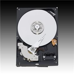 WD Blue HDD Desktop (3.5", 1TB, 64MB, SATA III-600)
