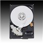 WD Blue HDD Desktop (3.5", 1TB, 64MB, SATA III-600) WD Blue HDD Desktop (3.5", 1TB, 64MB, SATA III-600)