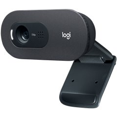 LOGITECH C505 HD Webcam - BLACK - USB- EMEA - 935