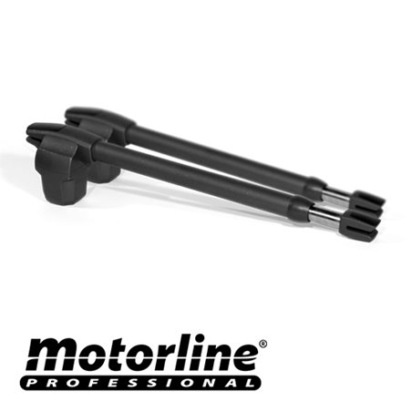 Kit automatizare poarta batanta 2x2.5m -MOTORLINE LINCE300-KIT