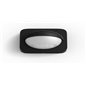 SENZOR PENTRU EXTERIOR PHILIPS HUE
