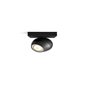 Spot luminos Philips Buckram Hue, ZigBee