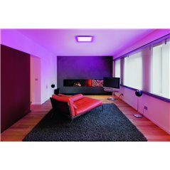PANOU LED LEDVANCE 4058075525221 45X45CM