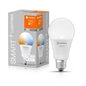 BEC LED LEDVANCE 4058075485495