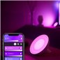 LAMPA LED DE MASA PHILIPS HUE BLOOM