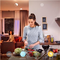 LAMPA SUSPENDATA PHILIPS HUE CHER