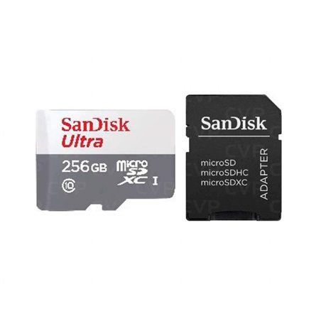 MICROSDXC 256GB CL10 SDSQUNR-256G-GN6TA
