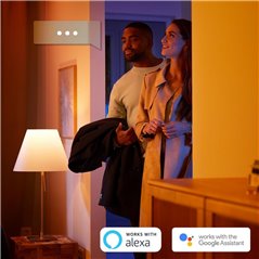 EXTENSIE BANDA LED PHILIPS HUE 1M 11.5W