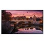 Ecran profesional Samsung QB75R
