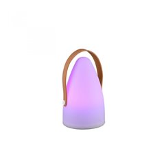 LAMPA EXT. LED RGB INT. REALITY HAITI