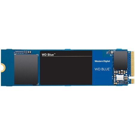 WD SSD 250GB BLUE M.2 WDS250G2B0C