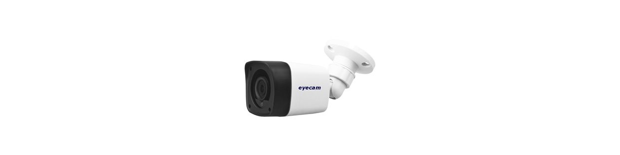 Camere analogice Eyecam