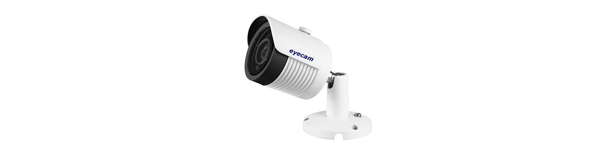 Camere IP Eyecam